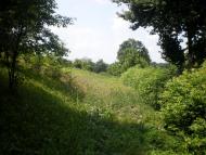 Джурин з panoramio.com