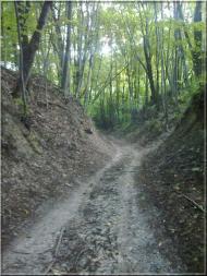 Бужанка з panoramio.com