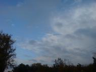 Гірник з panoramio.com