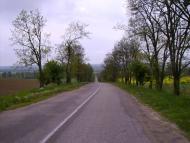 Вільховець з panoramio.com