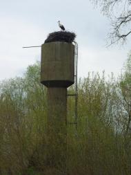 Крені з panoramio.com