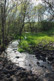 Василівка з panoramio.com