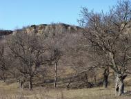 Півче з panoramio.com