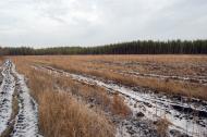 Метьолкіне з panoramio.com