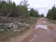 Борівське з panoramio.com