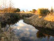 І СВІТАЄ, І СМЕРКАЄ