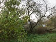 Підгірці з panoramio.com