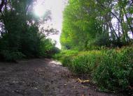 Степанівка з panoramio.com