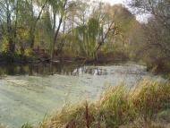 Мена з panoramio.com - Мена