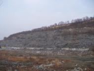 Сорокодуби з panoramio.com