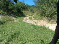 Лопушанка-Хомина з panoramio.com