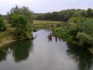 Корольки з panoramio.com