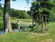 Сурмачівка - Останні фото