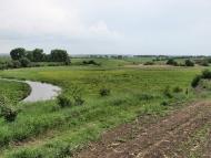 Голосків з panoramio.com