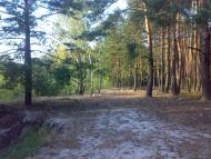 Сидоровичі з panoramio.com