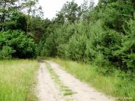 Ліски з panoramio.com