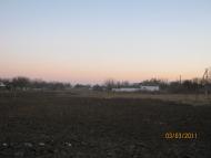 Вірівка з panoramio.com