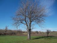 Захарівка з panoramio.com