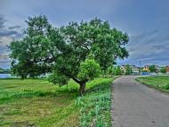 Андріївка з panoramio.com