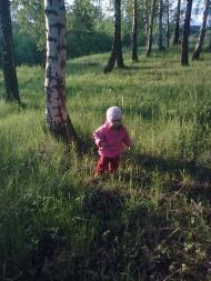 Варівці з panoramio.com