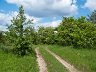 Іваньків з panoramio.com