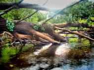 Хмелівка з panoramio.com