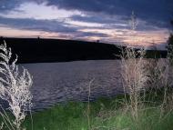 Сорокодуби з panoramio.com