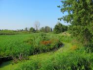 Кустин з panoramio.com