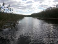 Шостакове з panoramio.com