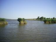 Руськоіванівка з panoramio.com