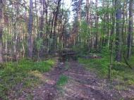 Клавдієво-Тарасове з panoramio.com