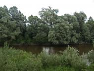 Гуща з panoramio.com