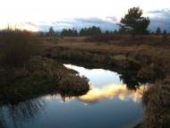 І СВІТАЄ, І СМЕРКАЄ