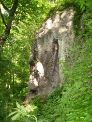 Притулівка з panoramio.com