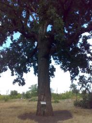 Марьяновка - Последние фото