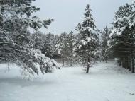 Кринки з panoramio.com - Кринки