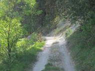 Норцівка з panoramio.com