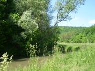 Суржинці з panoramio.com