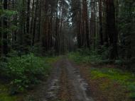 Щербатівка з panoramio.com