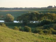 Безіменне з panoramio.com