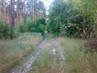 Сидоровичі з panoramio.com