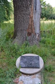 Мар'янське з panoramio.com