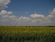 Маяк з panoramio.com