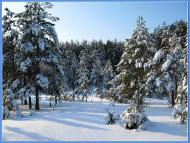 Хмелівка з panoramio.com