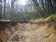 Лісне з panoramio.com