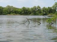 Ями з panoramio.com