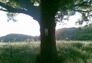 Велика Рибиця з panoramio.com