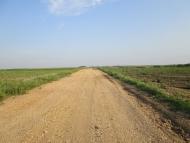 Єлизаветівка з panoramio.com