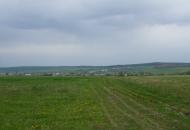 Вільшаниця з panoramio.com