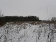 Заріг з panoramio.com